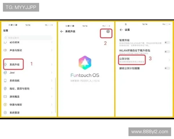 196体育官网的用户体验评测与反馈分享